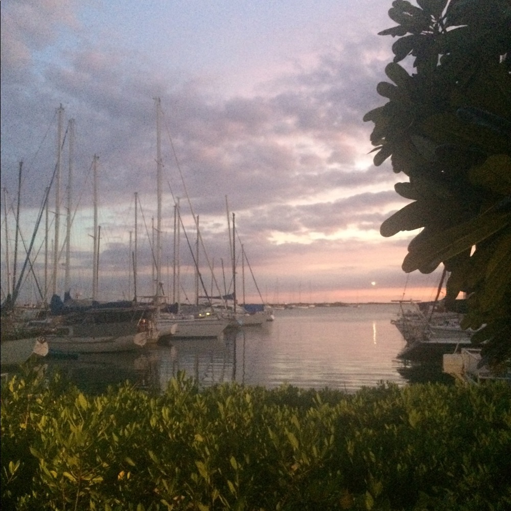 Meet your Posher, Malia 🌺